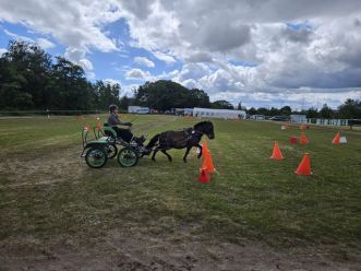 Fahrturnier bei den Fahrsportfreunden