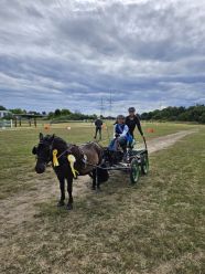 Fahrturnier bei den Fahrsportfreunden