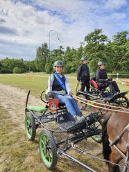 Fahrturnier bei den Fahrsportfreunden