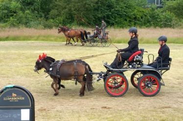 Fahrturnier bei den Fahrsportfreunden