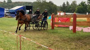 Fahrsportfreunde im Team Rheinland aktiv